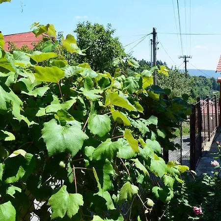 Tatiana Ubytovanie V Sukromi Banská Štiavnica